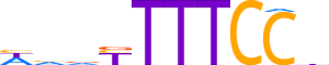 NFAC4.H13CORE.0.P.C reverse-complement motif logo (NFATC4 gene, NFAC4_HUMAN protein)