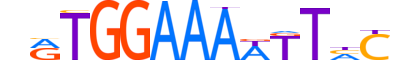 NFAT5.H13CORE.1.PS.A motif logo (NFAT5 gene, NFAT5_HUMAN protein)