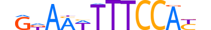 NFAT5.H13CORE.1.PS.A reverse-complement motif logo (NFAT5 gene, NFAT5_HUMAN protein)