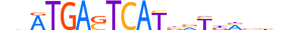 NFE2.H13CORE.1.SM.B motif logo (NFE2 gene, NFE2_HUMAN protein)