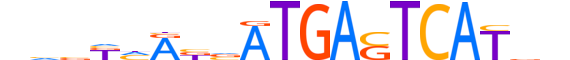 NFE2.H13CORE.1.SM.B reverse-complement motif logo (NFE2 gene, NFE2_HUMAN protein)