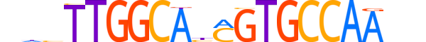 NFIA.H13CORE.1.PS.A reverse-complement motif logo (NFIA gene, NFIA_HUMAN protein)