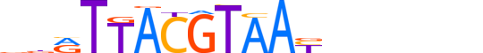 NFIL3.H13CORE.1.S.B motif logo (NFIL3 gene, NFIL3_HUMAN protein)