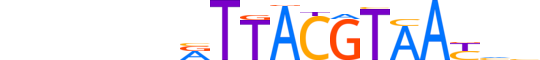 NFIL3.H13CORE.1.S.B reverse-complement motif logo (NFIL3 gene, NFIL3_HUMAN protein)