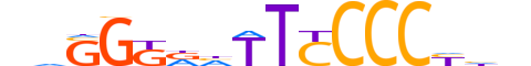 NFKB2.H13CORE.0.PSM.A reverse-complement motif logo (NFKB2 gene, NFKB2_HUMAN protein)