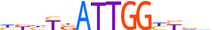 NFYB.H13CORE.0.P.B reverse-complement motif logo (NFYB gene, NFYB_HUMAN protein)