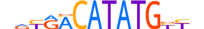 NGN1.H13CORE.0.SM.B motif logo (NEUROG1 gene, NGN1_HUMAN protein)