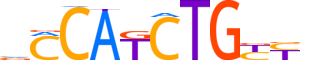 NGN2.H13CORE.0.P.B reverse-complement motif logo (NEUROG2 gene, NGN2_HUMAN protein)