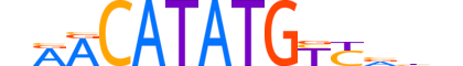 NGN2.H13CORE.1.SM.B motif logo (NEUROG2 gene, NGN2_HUMAN protein)