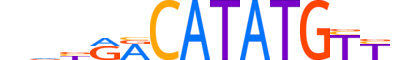 NGN2.H13CORE.1.SM.B reverse-complement motif logo (NEUROG2 gene, NGN2_HUMAN protein)