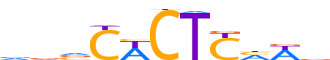 NKX21.H13CORE.0.P.B reverse-complement motif logo (NKX2-1 gene, NKX21_HUMAN protein)