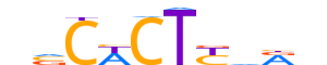 NKX22.H13CORE.0.P.B reverse-complement motif logo (NKX2-2 gene, NKX22_HUMAN protein)