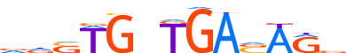 NKX25.H13CORE.1.P.B motif logo (NKX2-5 gene, NKX25_HUMAN protein)