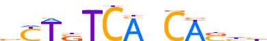 NKX25.H13CORE.1.P.B reverse-complement motif logo (NKX2-5 gene, NKX25_HUMAN protein)