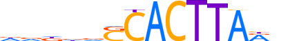NKX31.H13CORE.0.PSM.A reverse-complement motif logo (NKX3-1 gene, NKX31_HUMAN protein)