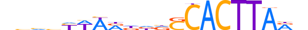 NKX32.H13CORE.1.S.B reverse-complement motif logo (NKX3-2 gene, NKX32_HUMAN protein)