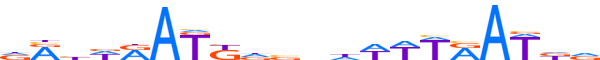 NKX61.H13CORE.0.PS.A motif logo (NKX6-1 gene, NKX61_HUMAN protein)