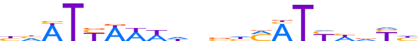 NKX61.H13CORE.0.PS.A reverse-complement motif logo (NKX6-1 gene, NKX61_HUMAN protein)