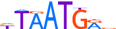 NKX61.H13CORE.1.P.B motif logo (NKX6-1 gene, NKX61_HUMAN protein)