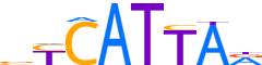 NKX61.H13CORE.1.P.B reverse-complement motif logo (NKX6-1 gene, NKX61_HUMAN protein)