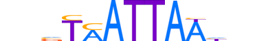 NKX61.H13CORE.2.S.B reverse-complement motif logo (NKX6-1 gene, NKX61_HUMAN protein)