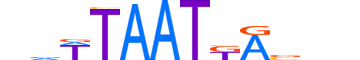 NKX62.H13CORE.0.SM.B motif logo (NKX6-2 gene, NKX62_HUMAN protein)