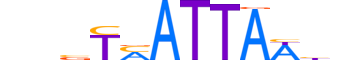 NKX62.H13CORE.0.SM.B reverse-complement motif logo (NKX6-2 gene, NKX62_HUMAN protein)