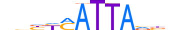 NOTO.H13CORE.0.SM.B motif logo (NOTO gene, NOTO_HUMAN protein)