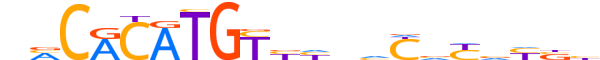 NPAS2.H13CORE.0.M.B reverse-complement motif logo (NPAS2 gene, NPAS2_HUMAN protein)