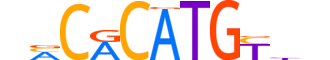 NPAS2.H13CORE.1.M.C reverse-complement motif logo (NPAS2 gene, NPAS2_HUMAN protein)