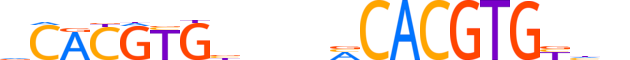 NPAS2.H13CORE.2.S.B motif logo (NPAS2 gene, NPAS2_HUMAN protein)