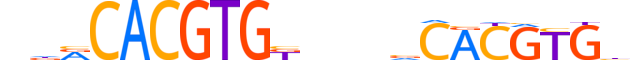 NPAS2.H13CORE.2.S.B reverse-complement motif logo (NPAS2 gene, NPAS2_HUMAN protein)