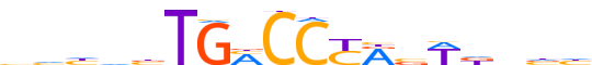 NR1D2.H13CORE.0.P.B reverse-complement motif logo (NR1D2 gene, NR1D2_HUMAN protein)