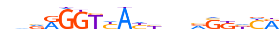 NR1H2.H13CORE.1.P.C motif logo (NR1H2 gene, NR1H2_HUMAN protein)