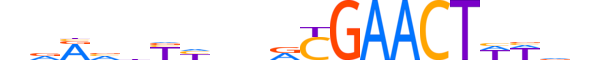 NR1I3.H13CORE.2.M.C reverse-complement motif logo (NR1I3 gene, NR1I3_HUMAN protein)