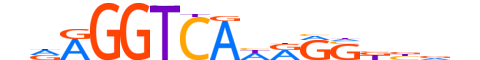 NR2C1.H13CORE.1.PM.A motif logo (NR2C1 gene, NR2C1_HUMAN protein)