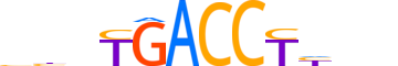 NR2C2.H13CORE.0.SM.B reverse-complement motif logo (NR2C2 gene, NR2C2_HUMAN protein)