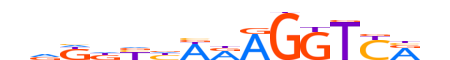 NR2C2.H13CORE.1.PS.A motif logo (NR2C2 gene, NR2C2_HUMAN protein)