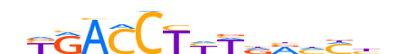 NR2C2.H13CORE.1.PS.A reverse-complement motif logo (NR2C2 gene, NR2C2_HUMAN protein)