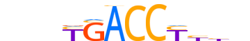 NR2F6.H13CORE.1.PSM.A reverse-complement motif logo (NR2F6 gene, NR2F6_HUMAN protein)