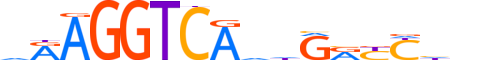 NR2F6.H13CORE.3.SM.B motif logo (NR2F6 gene, NR2F6_HUMAN protein)