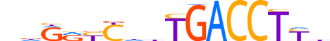 NR2F6.H13CORE.3.SM.B reverse-complement motif logo (NR2F6 gene, NR2F6_HUMAN protein)