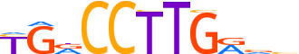 NR5A2.H13CORE.0.PSM.A reverse-complement motif logo (NR5A2 gene, NR5A2_HUMAN protein)
