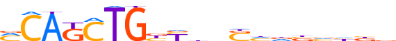 OLIG2.H13CORE.0.P.B motif logo (OLIG2 gene, OLIG2_HUMAN protein)