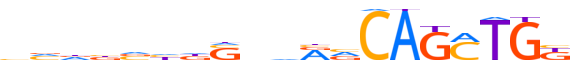 OLIG2.H13CORE.0.P.B reverse-complement motif logo (OLIG2 gene, OLIG2_HUMAN protein)