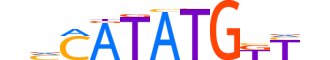 OLIG2.H13CORE.2.SM.B motif logo (OLIG2 gene, OLIG2_HUMAN protein)