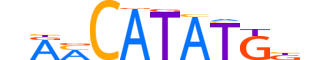 OLIG2.H13CORE.2.SM.B reverse-complement motif logo (OLIG2 gene, OLIG2_HUMAN protein)