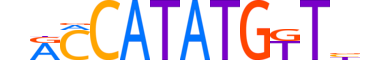 OLIG3.H13CORE.0.SM.B motif logo (OLIG3 gene, OLIG3_HUMAN protein)