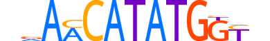 OLIG3.H13CORE.0.SM.B reverse-complement motif logo (OLIG3 gene, OLIG3_HUMAN protein)