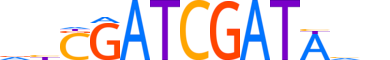 ONEC2.H13CORE.2.S.B reverse-complement motif logo (ONECUT2 gene, ONEC2_HUMAN protein)